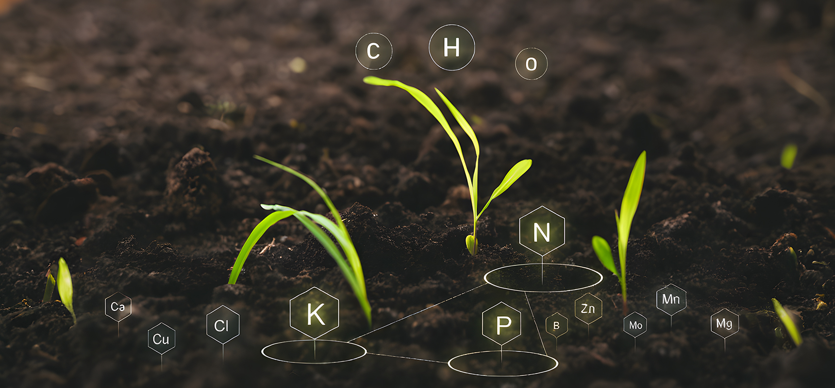 旗舰产品领导力