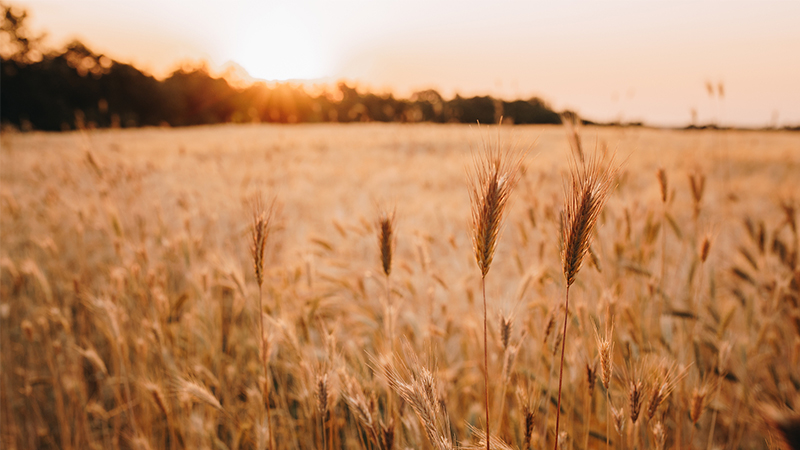 盐城利民化工有限公司